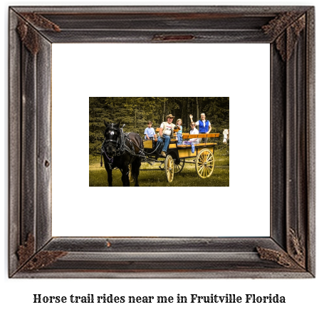 horse trail rides near me in Fruitville, Florida